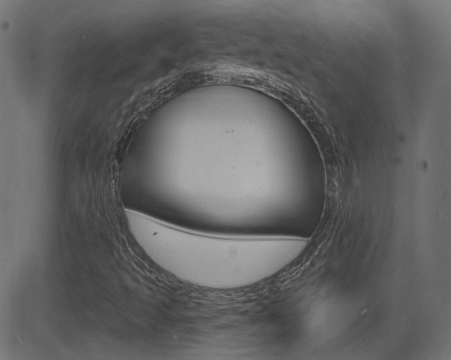 X0000081621493200701151041