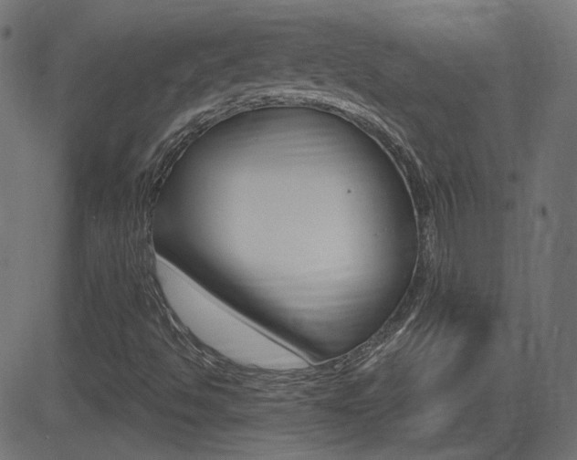X0000081621494200701151041