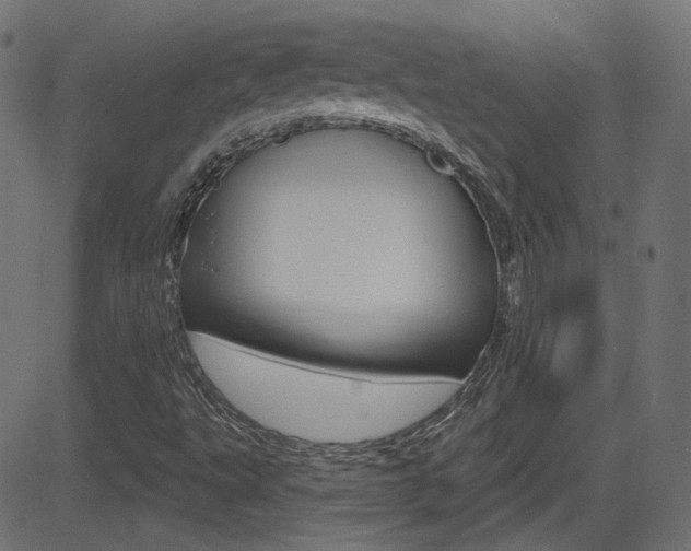 X0000081621495200701151041