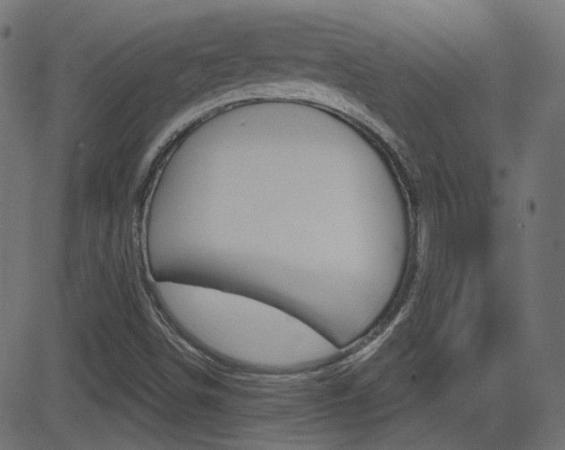 X0000081621498200701151041