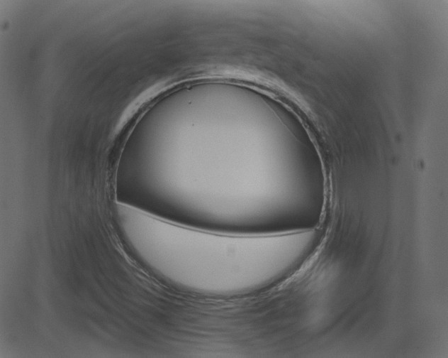 X0000081621501200701151041