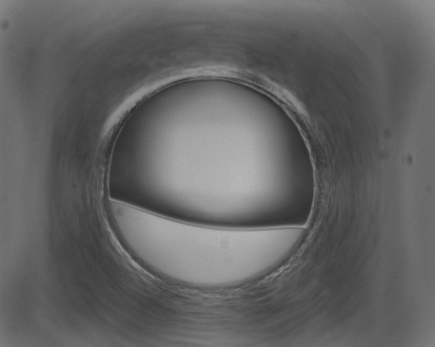 X0000081621504200701151041
