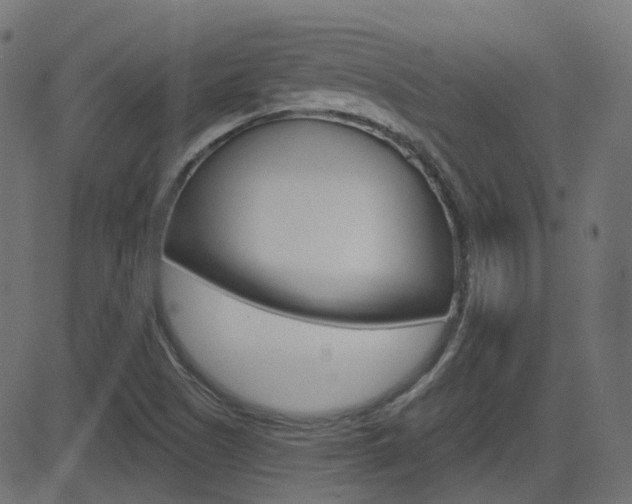 X0000081621505200701151041