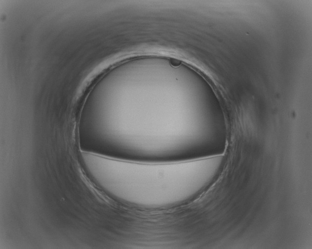 X0000081621507200701151041