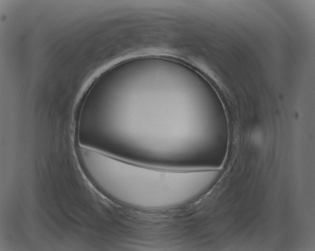 X0000081621508200701151041