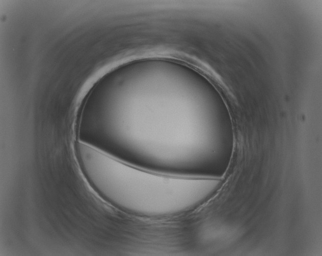 X0000081621512200701151042