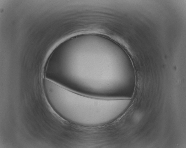 X0000081621516200701151042