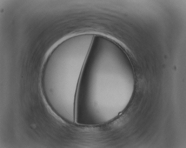 X0000081621518200701151042