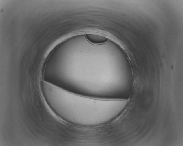 X0000081621523200701151042