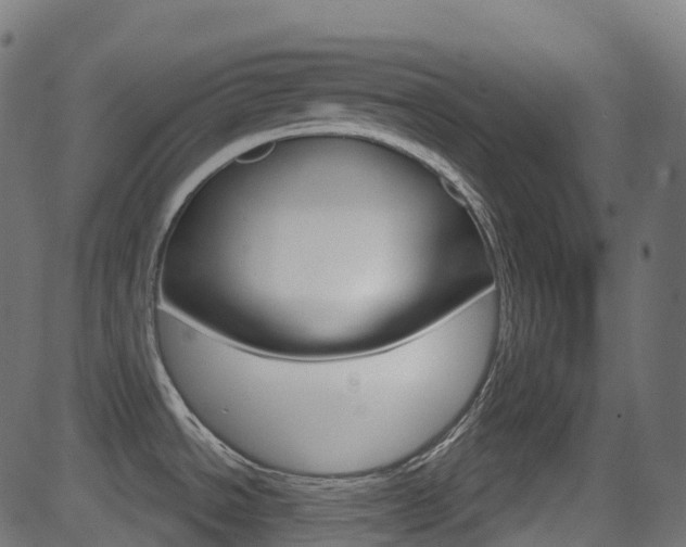 X0000081621534200701151042