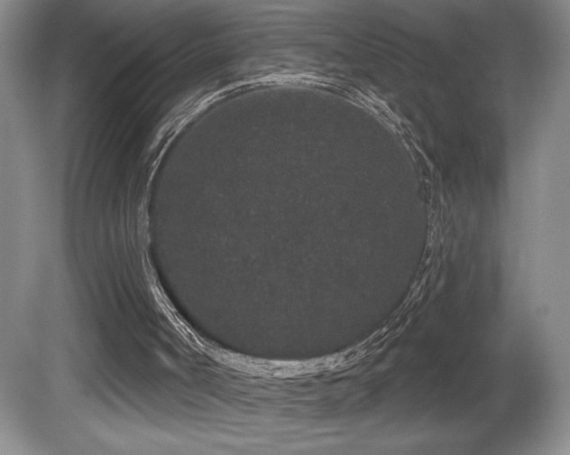 X0000081620002200701151444