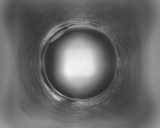 X0000081620005200701151443