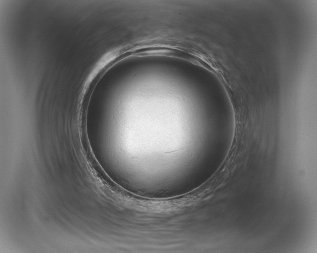 X0000081620006200701151443
