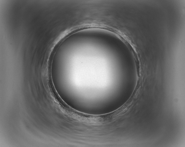 X0000081620008200701151443