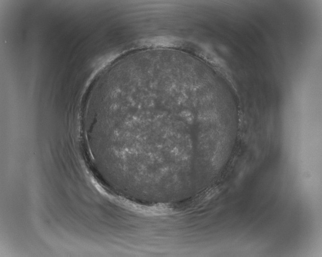 X0000081620012200701151443