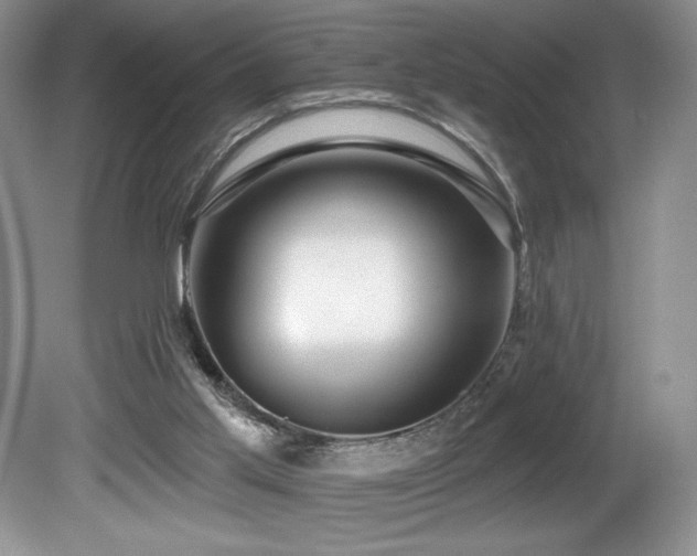 X0000081620013200701151443