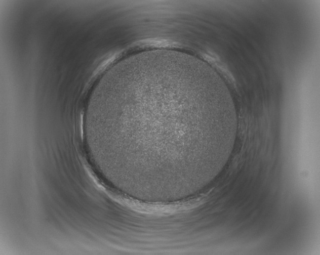 X0000081620014200701151443