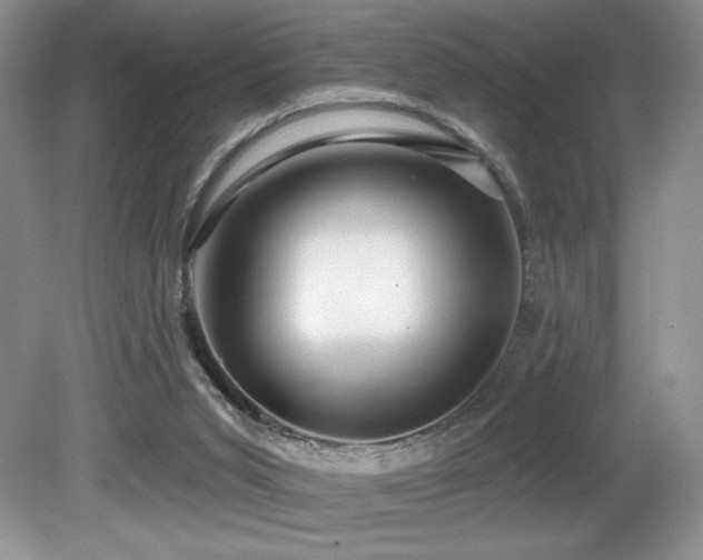 X0000081620015200701151443