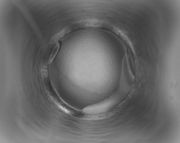 X0000081620017200701151443