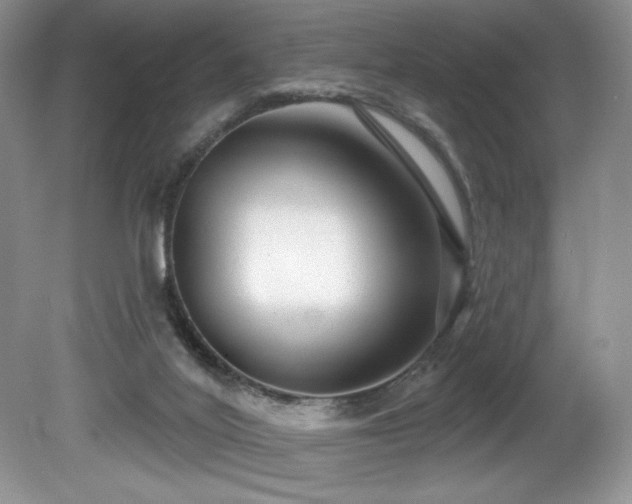 X0000081620020200701151443