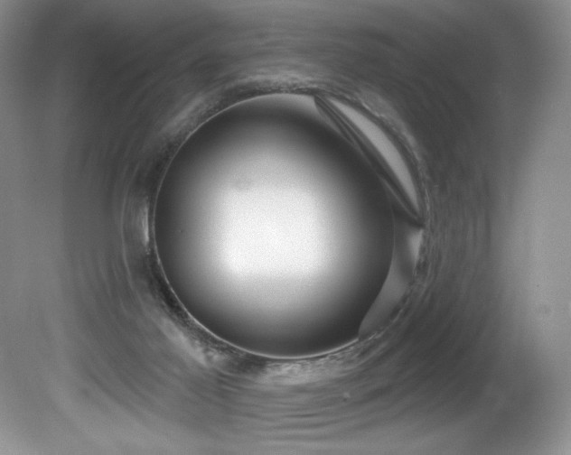 X0000081620021200701151443