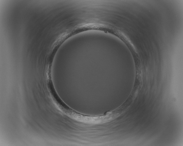 X0000081620023200701151443