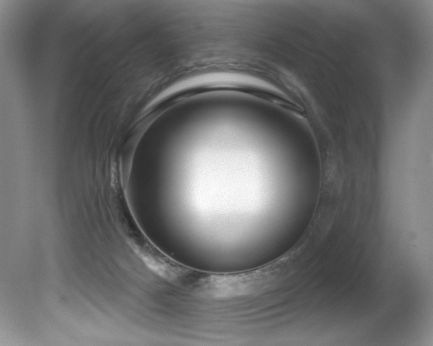 X0000081620025200701151443