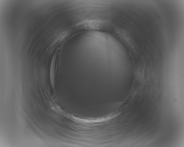 X0000081620027200701151443