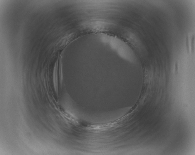 X0000081620029200701151443