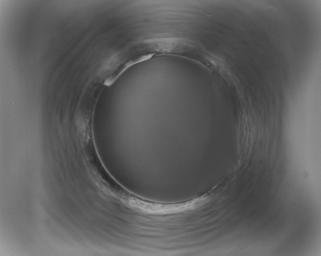 X0000081620031200701151443