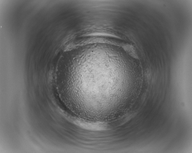 X0000081620032200701151443
