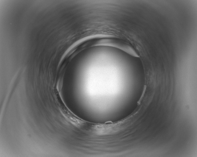 X0000081620033200701151443