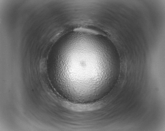X0000081620034200701151443
