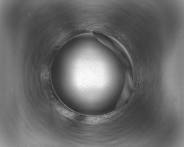 X0000081620037200701151443