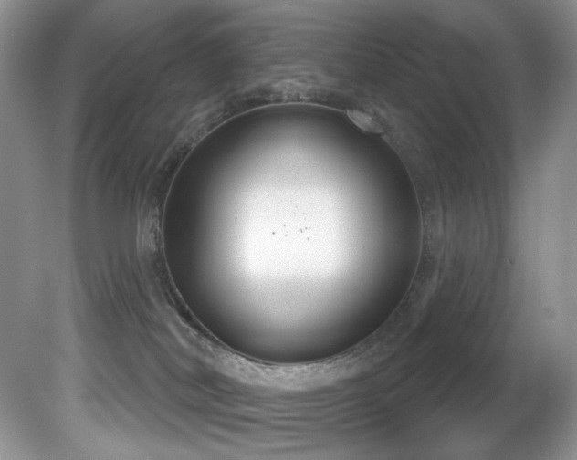 X0000081620038200701151443