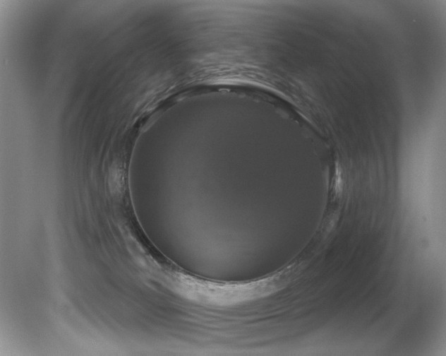 X0000081620039200701151443