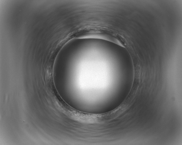 X0000081620040200701151443