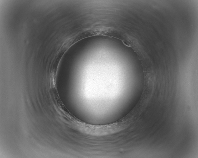 X0000081620042200701151443