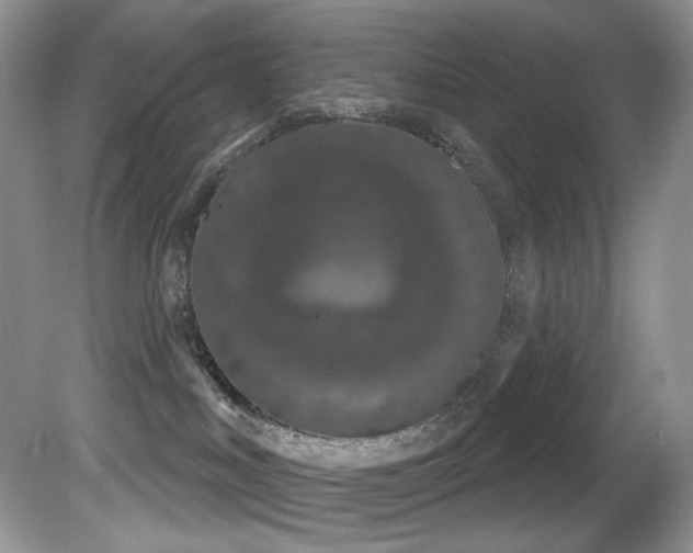 X0000081620043200701151443