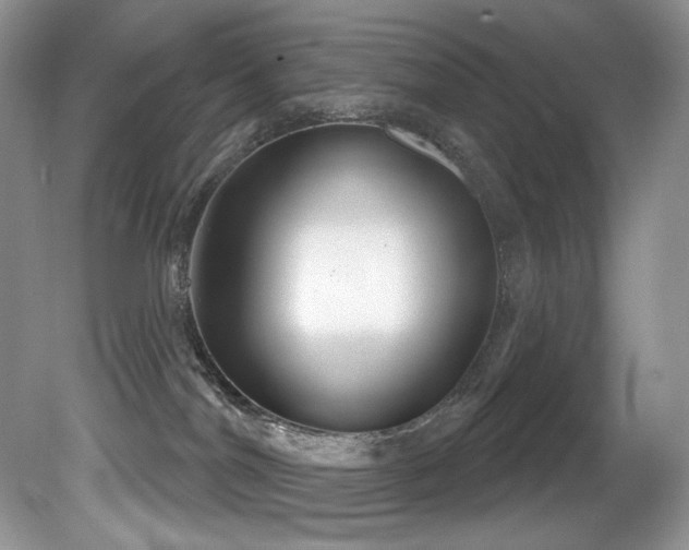 X0000081620044200701151443