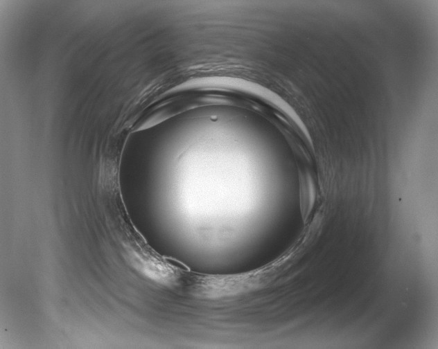 X0000081620045200701151443
