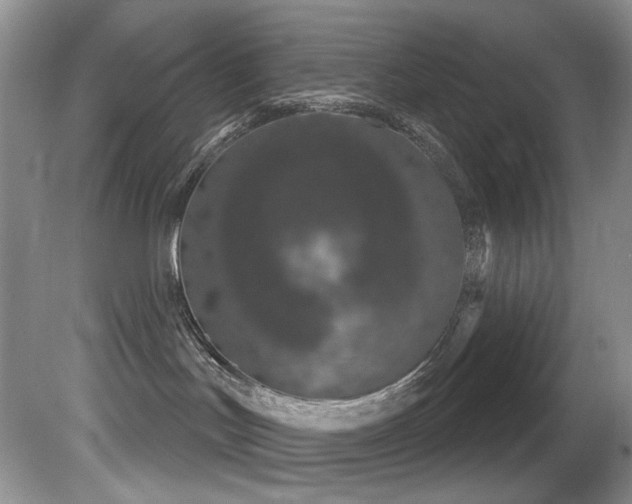 X0000081620047200701151443