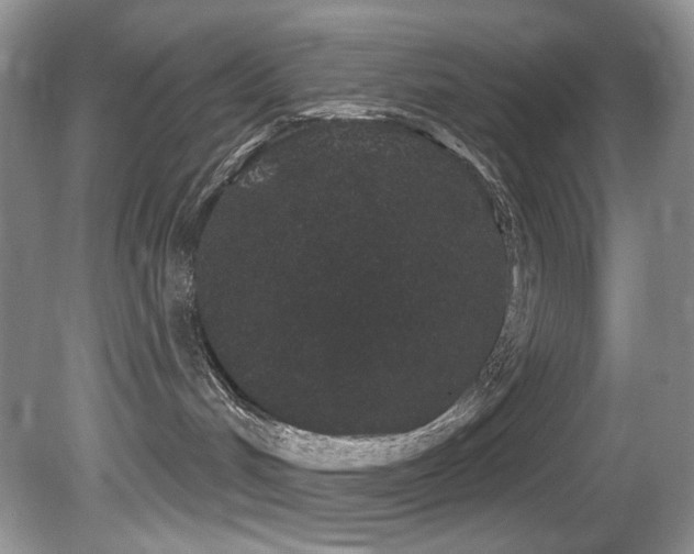X0000081620048200701151443