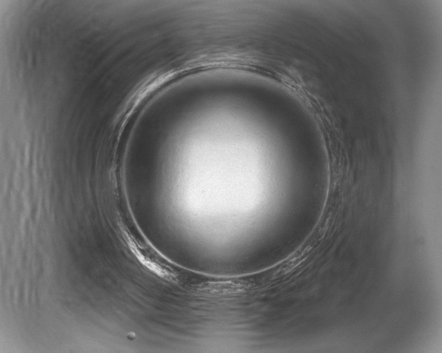 X0000081620050200701151442
