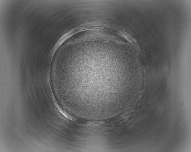 X0000081620051200701151442