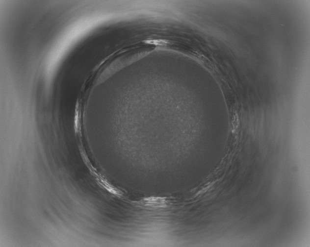 X0000081620052200701151442