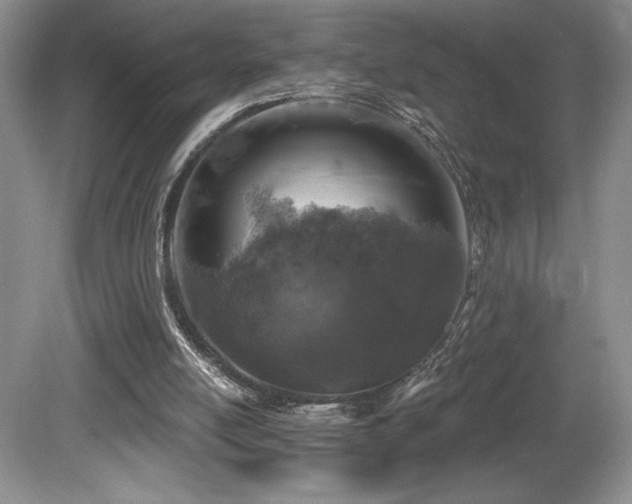 X0000081620054200701151442