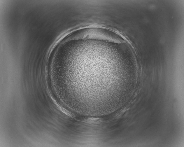 X0000081620055200701151442