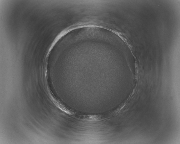 X0000081620056200701151442