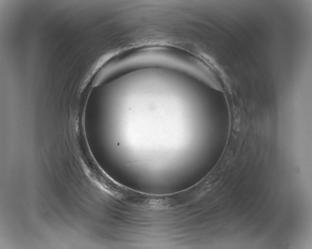 X0000081620060200701151442